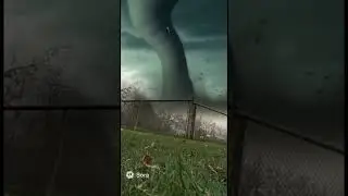 A Cat got suck up by  a tornado!🌪️🌪️#funny #ai #cat #memes