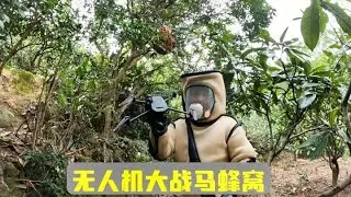无人机大战马蜂窝，这下脑瓜子又嗡嗡的吧？ #为民除害 #我的乡村生活