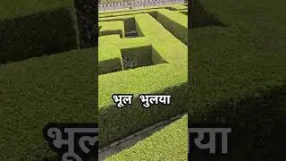 #bhulaiyaa #children #Statuofunity #green #mapofindia #trip #track