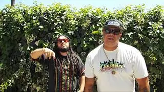 RAS REBEL - POLICE THE POLICE [OFFICIAL MUSIC VIDEO] FEATURING TEKUN UMAN (2018)