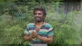 Mumbai gajar Ghas Jalil bhai Gadar girls Daku