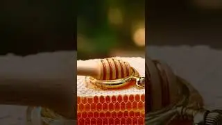 Unbeelievable Honeycomb ASMR: Can This Pocket Watch Really Tell Sweet Secrets?  🍯 #Shorts