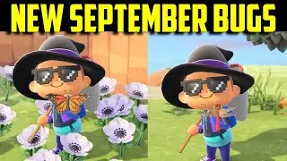 September Bug Guide | September Bug Guide | September Bugs ACNH | September Bugs Animal Crossing