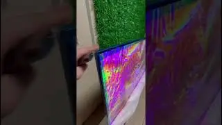 30 июня 2024 г.