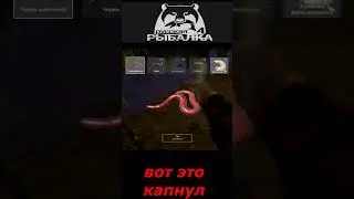 #shorts  #🎮вот это капнул🎮# Russian Fishing 4#