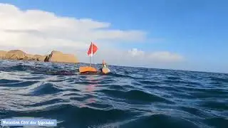Nage dynamique et ensoleillé à Pontusval 