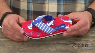 Hatley Kids Beach Cruisin' Flip-Flop (Toddler/Little Kid) SKU: 8982478