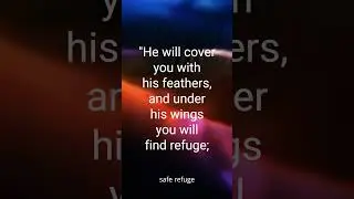 You are covered #UnderHisWings #DivineRefuge #GodsFaithfulness #ShieldOfFaith #SafeInGod #foryou