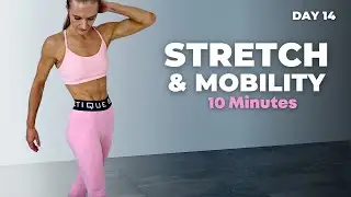 10 Min Beginner Friendly STRETCH Routine | 14