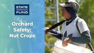 Orchard Safety - Nut Crops