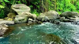 Natural River Sound Therapy for Peaceful Sleep and Emotional Balance