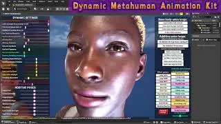 Dynamic Metahuman Animation Kit (DMHAK) Feature Overview