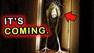 If Your Dog Starts LAUGHING... RUN FOR YOUR LIFE. | The 