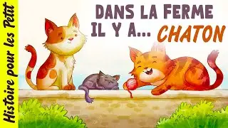 Chaton🐱contes De F&eacute;es Pour S'endormir | Histoire Pour Les Petits | Francais