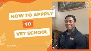How to Apply for Vet School: The Basics