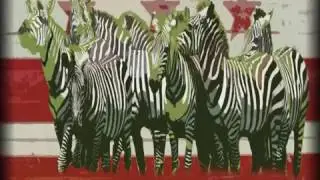 Mestre Lua de Bobó e Mestre Cobra Mansa