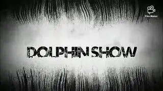 Dolphin show Here @ Magsaysay District, Santa, ilocos sur Philippines