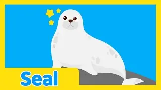The Underwater Talent Show🐧| Kids Educational Video | A Seal | Learn With Lotty Friends