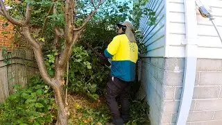 Epic Yard Transformation: How to Clear Years of BRUSH & WEEDS!