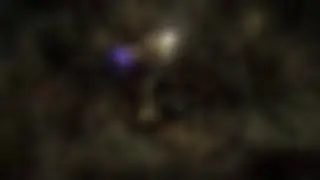 Tales of Life: The Bold Woman - Captivating Stories in Audio Format