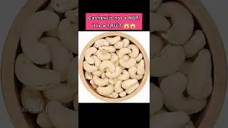 Cashew is not a NUT😱 #info #cashew #cashewinfo #facts #foodinfo #cashewnut #foodfacts