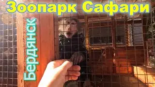 Зоопарк Сафари в Бердянске 2025