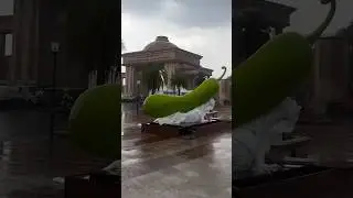 lucknow 1090 chauraha lauki panchayat season #lauki#laukiraita#lucknow#sorts#vlog#lucknowcity