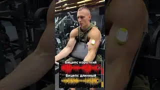 EMG (electromyography) biceps crossover exercise