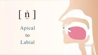 [ n̼̊ ]  unvoiced apical labial  nasal stop
