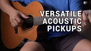 Every Style, One Pickup: Brad Clark Supernatural DS