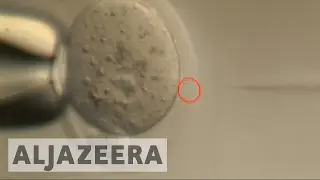 DNA breakthrough raises ethical questions
