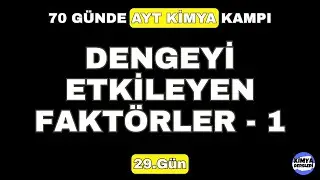 Dengeyi Etkileyen Faktörler-1 (Derişim Etkisi - Sıcaklık Etkisi) |29.Gün | 11.Sınıf Kimya | AYT 2024