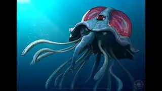 Pokemon Blue - Tentacruel PQUSA Minimum Level Challenge