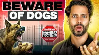 Why Stray Dog Attacks are Rising in India? |  The Stray Dog Problem of India | Shriman Shharma