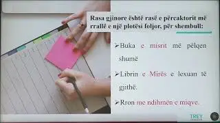 9 01 097 - Java 25 - Gjuhë shqipe - Rasa Gjinore