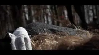 Venskab - Kortfilm