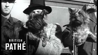 Duke And Duchess Of Windsor In Canada (1940)