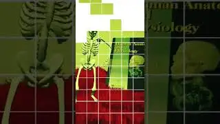 In anatomy lab enjoy skeleton 🦴dance #bones#skeleton  #explore#anatomyandphysiology#books#lab#enjoy