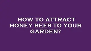 How to attract honey bees to your garden?