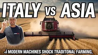 🇮🇹Italy vs Asia Wheat Harvesting 🚜 | Modern Machines SHOCK Traditional Farming!