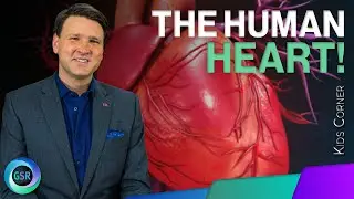 Questo muscolo grande come un pugno ti mantiene in vita! | Kids Science Corner su Genesis Science...