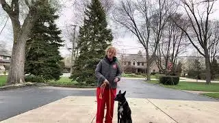 Proper leash etiquette
