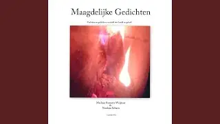 De Goochelaar