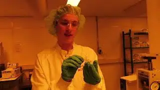 A peek into the BiS microfab and imaging labs