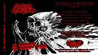 &bull; ALTERED PERCEPTION - Se Alimentan de Nuestra Carne [Full Demo Album] Old School Death Metal