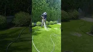 Do You Know What They&rsquo;re Spraying on Your Turf? 👀 This One Is Pet-Safe #turfcleaning
