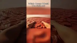 Which Ocean Would You Surf #ai #asmr