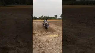 Off road pulsar 220//😱😱 #youtubeshorts #shorts #viralvideo #shortfeed #bajaj #rider #offroad