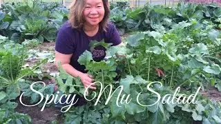 How to Make Spicy Mu Korean Salad