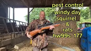pest control squirrels & rats windy day on the farm hw99s spring powerd air rifle 177